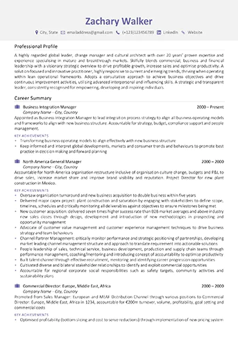 Professional Resume writing service example - James Innes Example 1